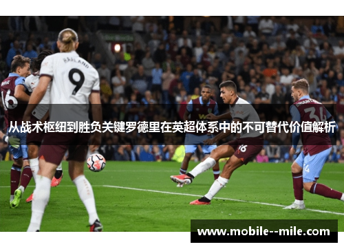 从战术枢纽到胜负关键罗德里在英超体系中的不可替代价值解析