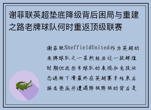 谢菲联英超垫底降级背后困局与重建之路老牌球队何时重返顶级联赛 谢菲联英超垫底降级背后困局与重建之路老牌球队何时重返顶级联赛